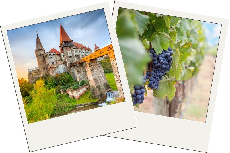 Corvin Castle & Crama Thesaurus Wines Romania itinerary