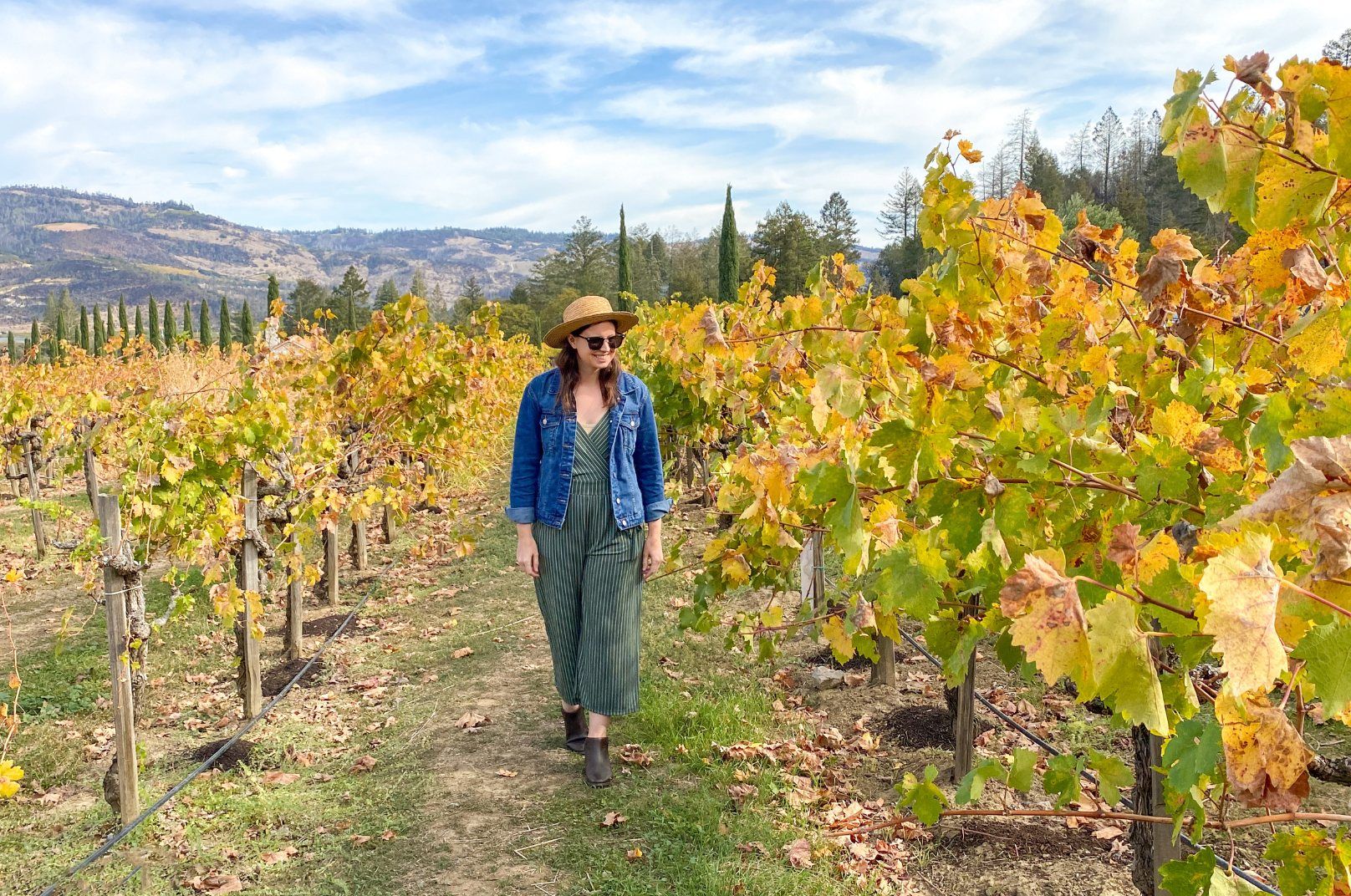 Napa Valley Travel Guide