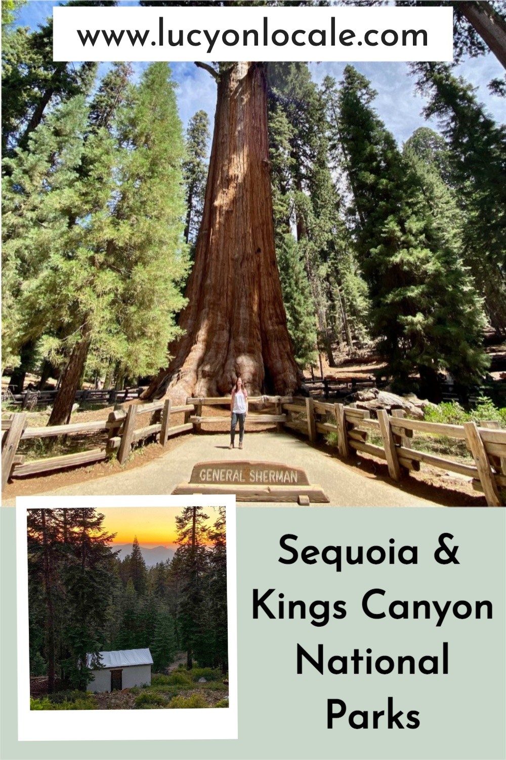 road trip to Sequoia National Park and Kings Canyon