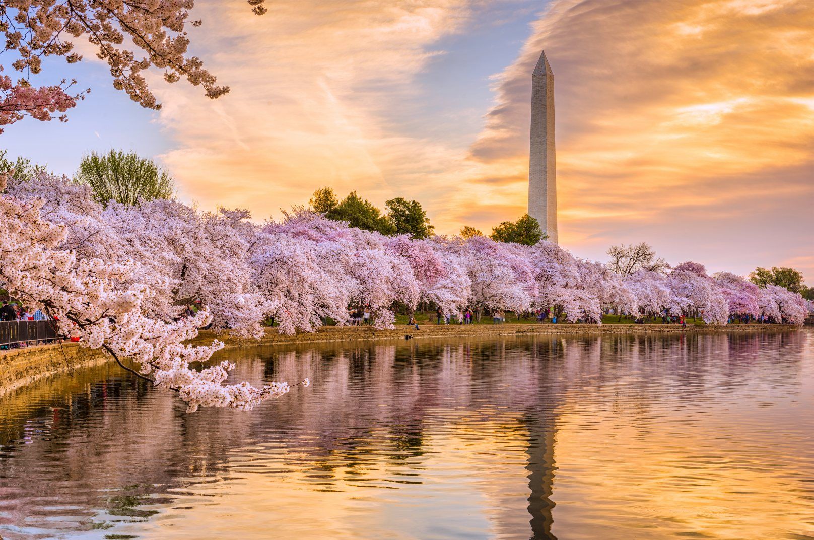 The best flower festivals in the United States