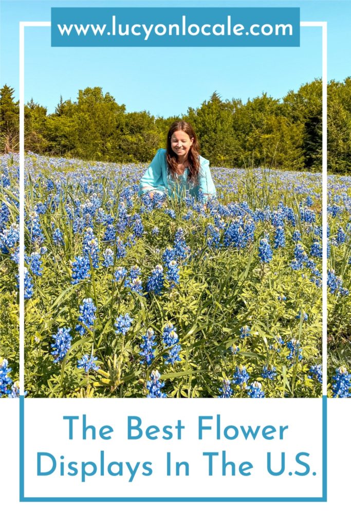 The Best Flower Festivals In The United States Lucy On Locale