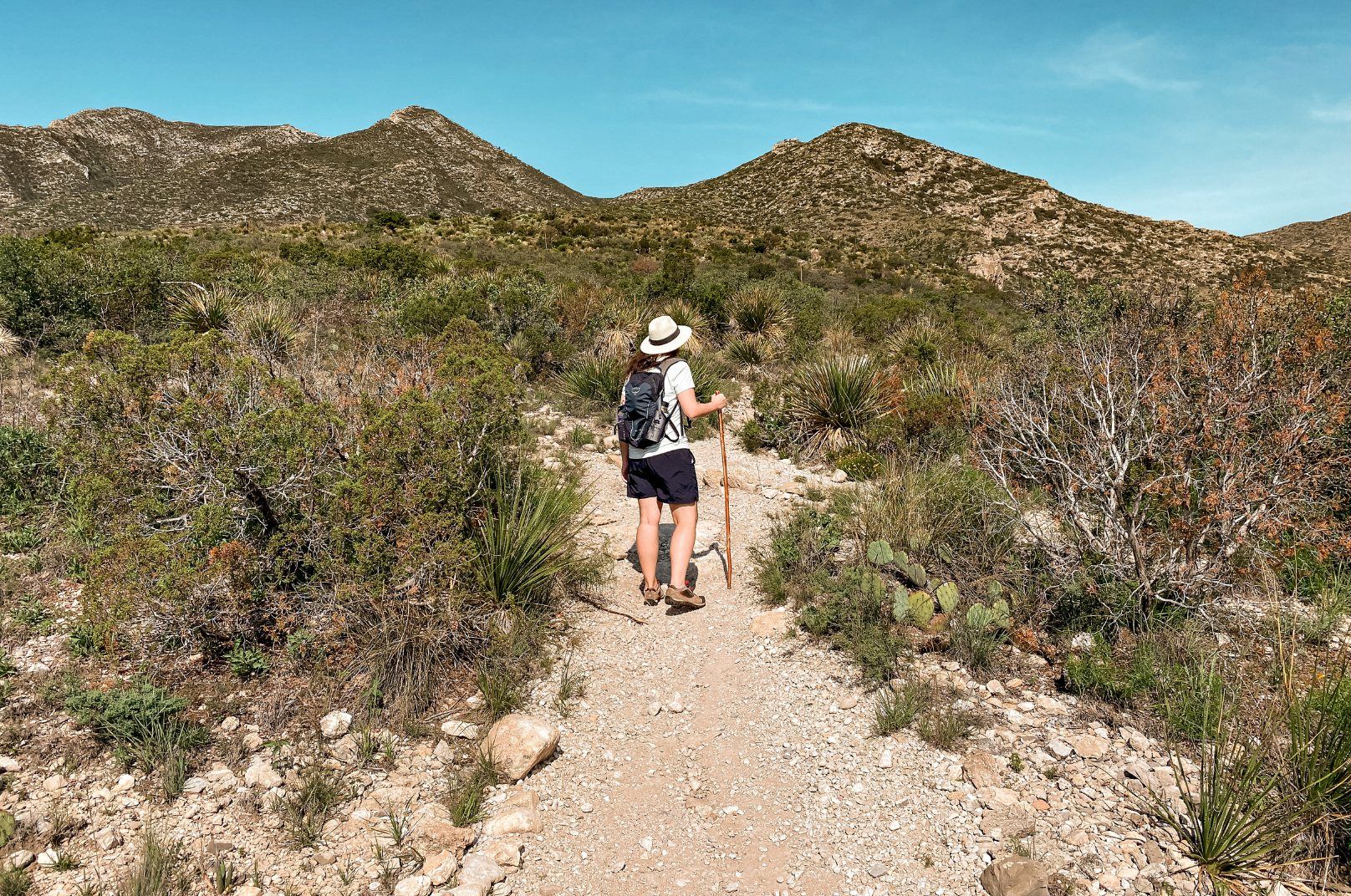 Backpacking Guadalupe Mountains National Park