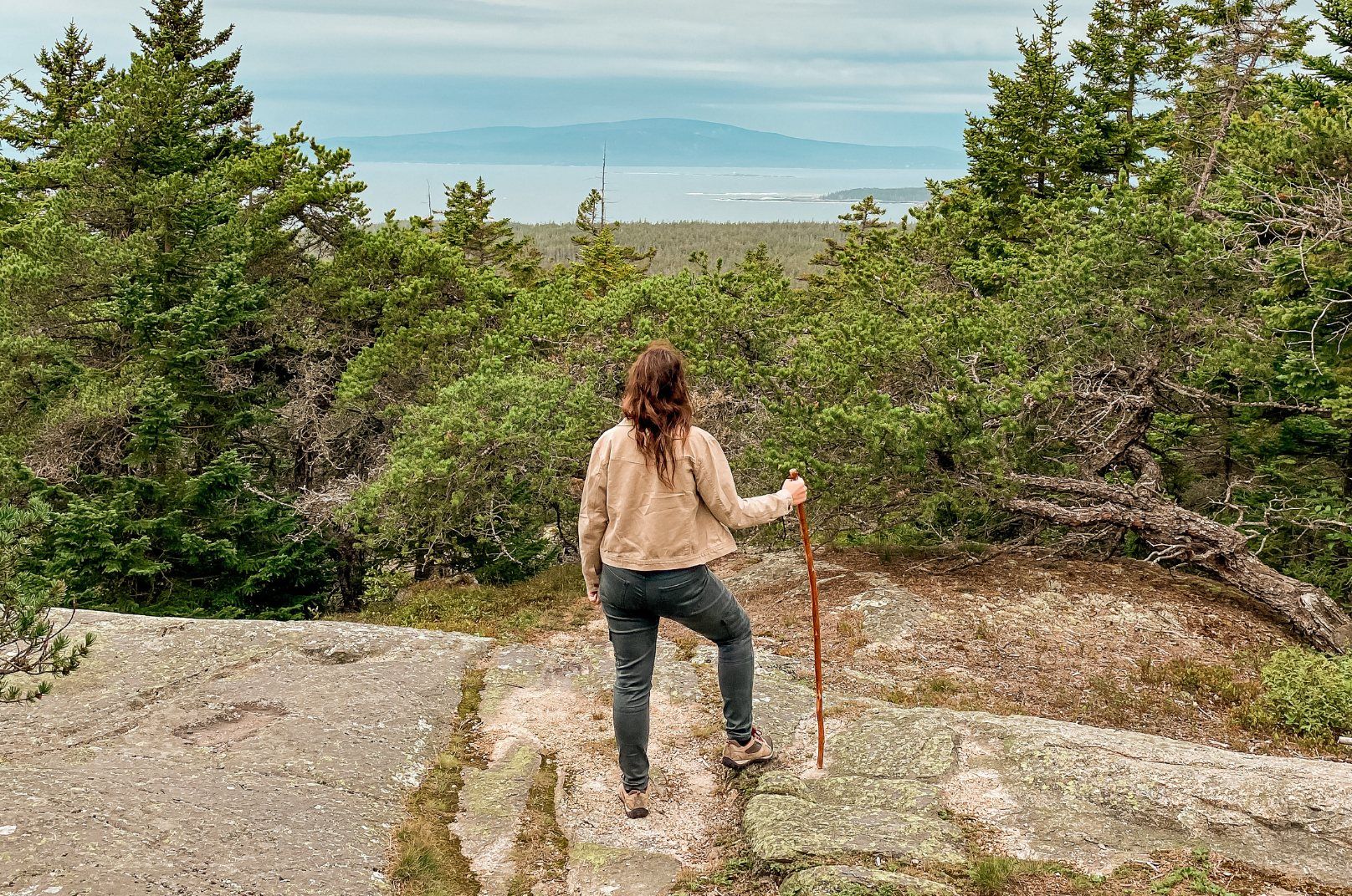 Planning a Trip to Acadia National Park