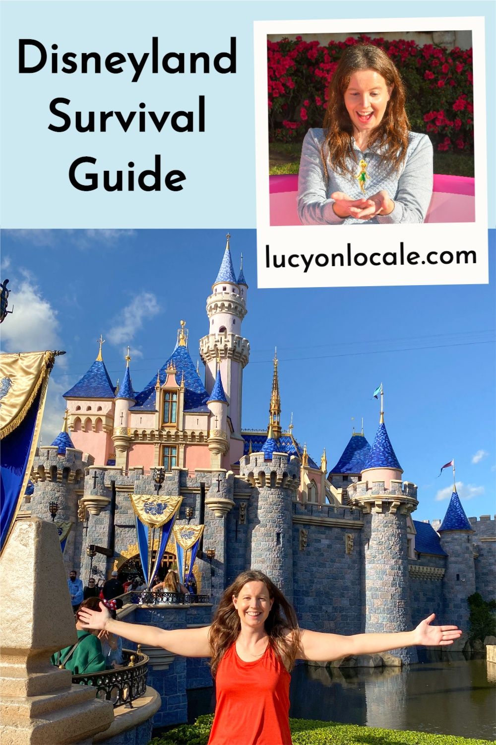 Disneyland survival guide