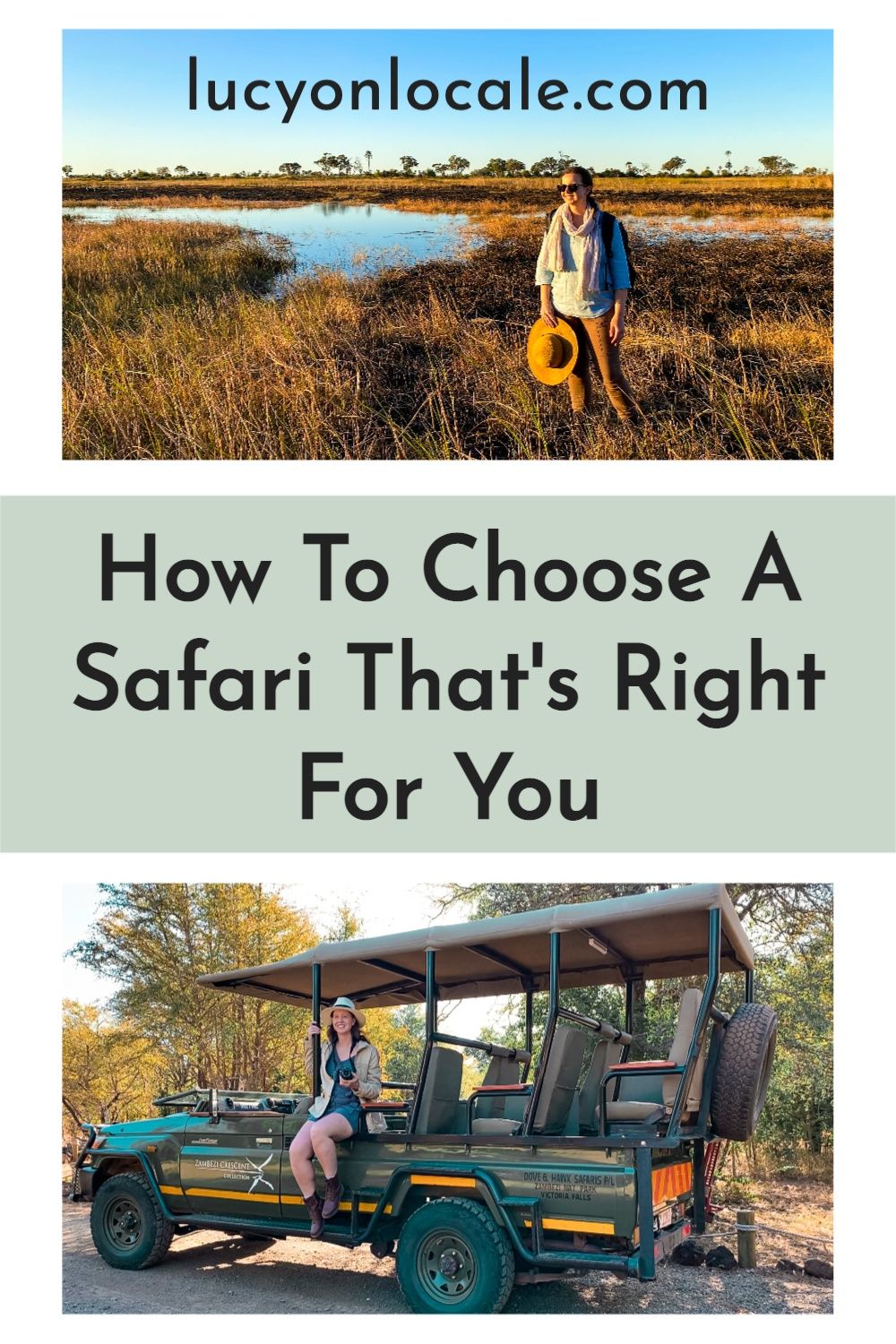 how to choose a safari that's right for you