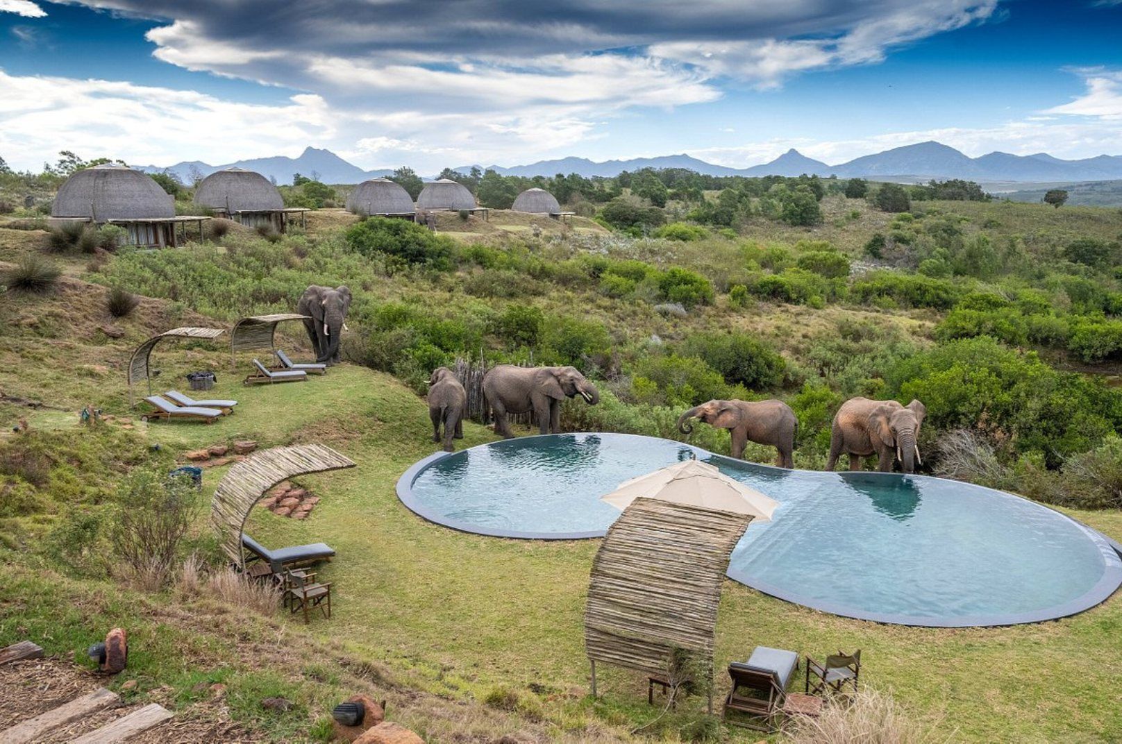 best luxury safari lodges in Africa