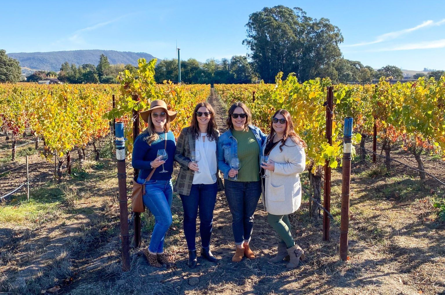 sonoma trip planner