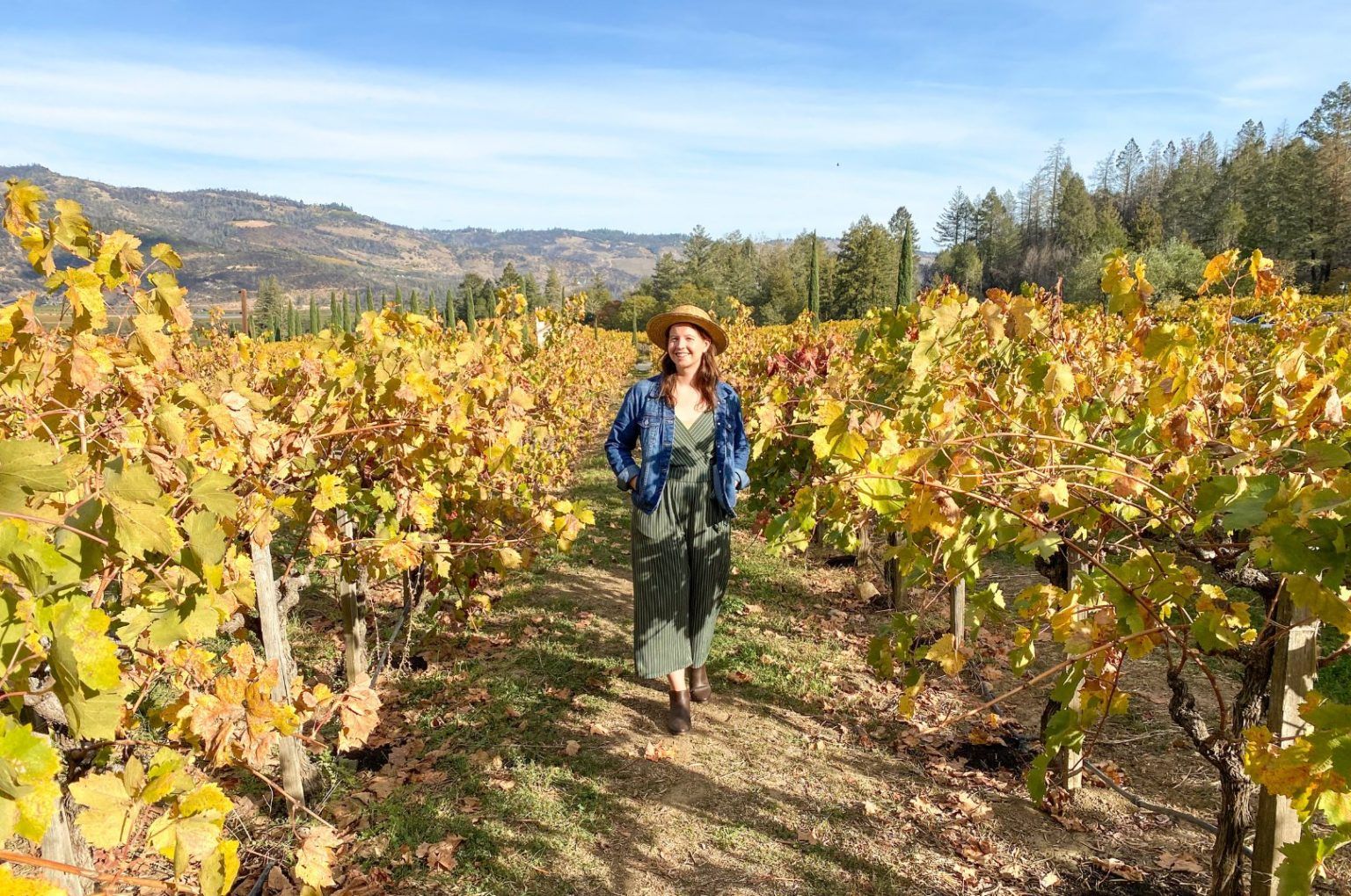 Sonoma Trip Planner Lucy On Locale