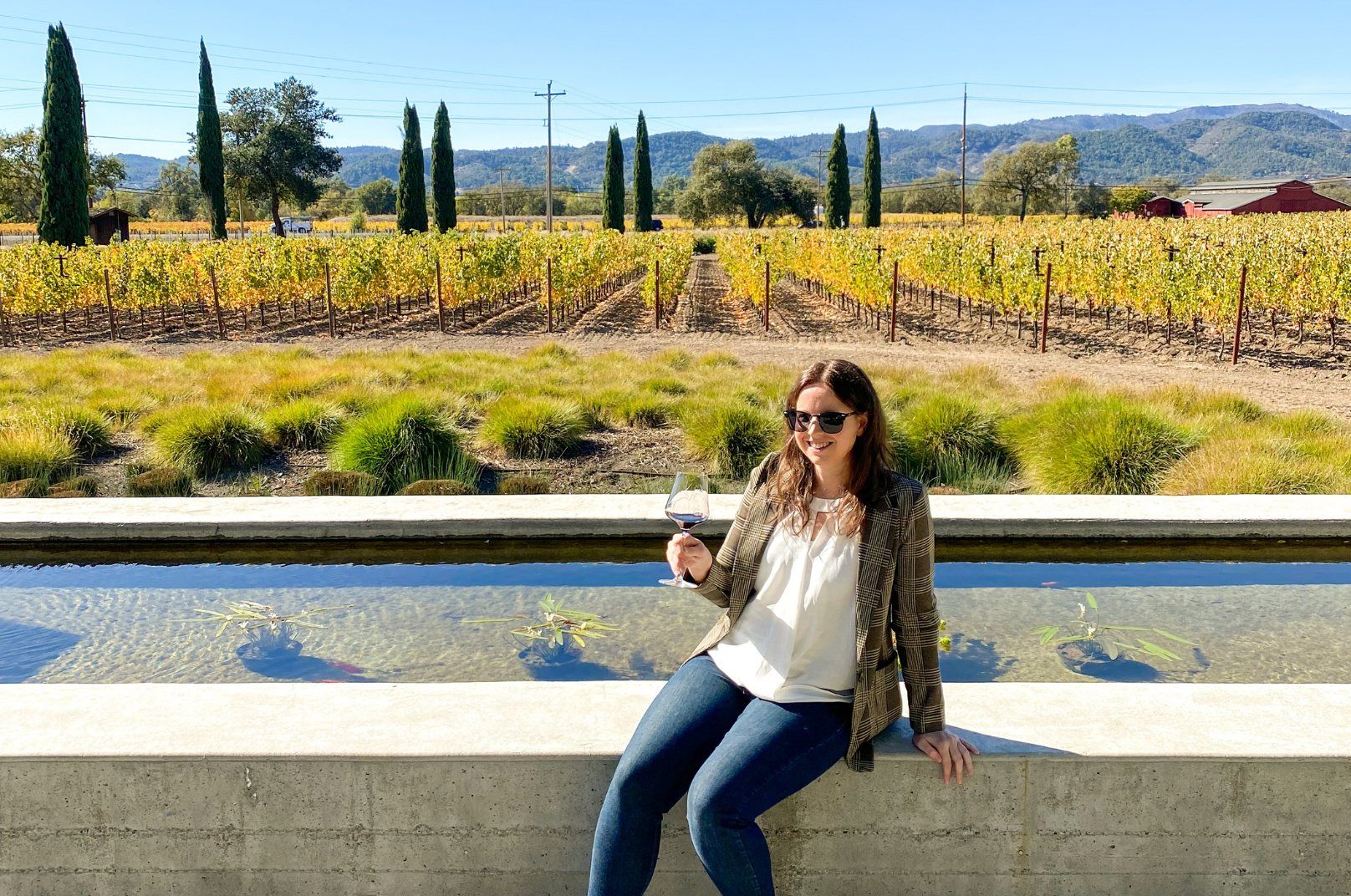small group tours to Napa Valley