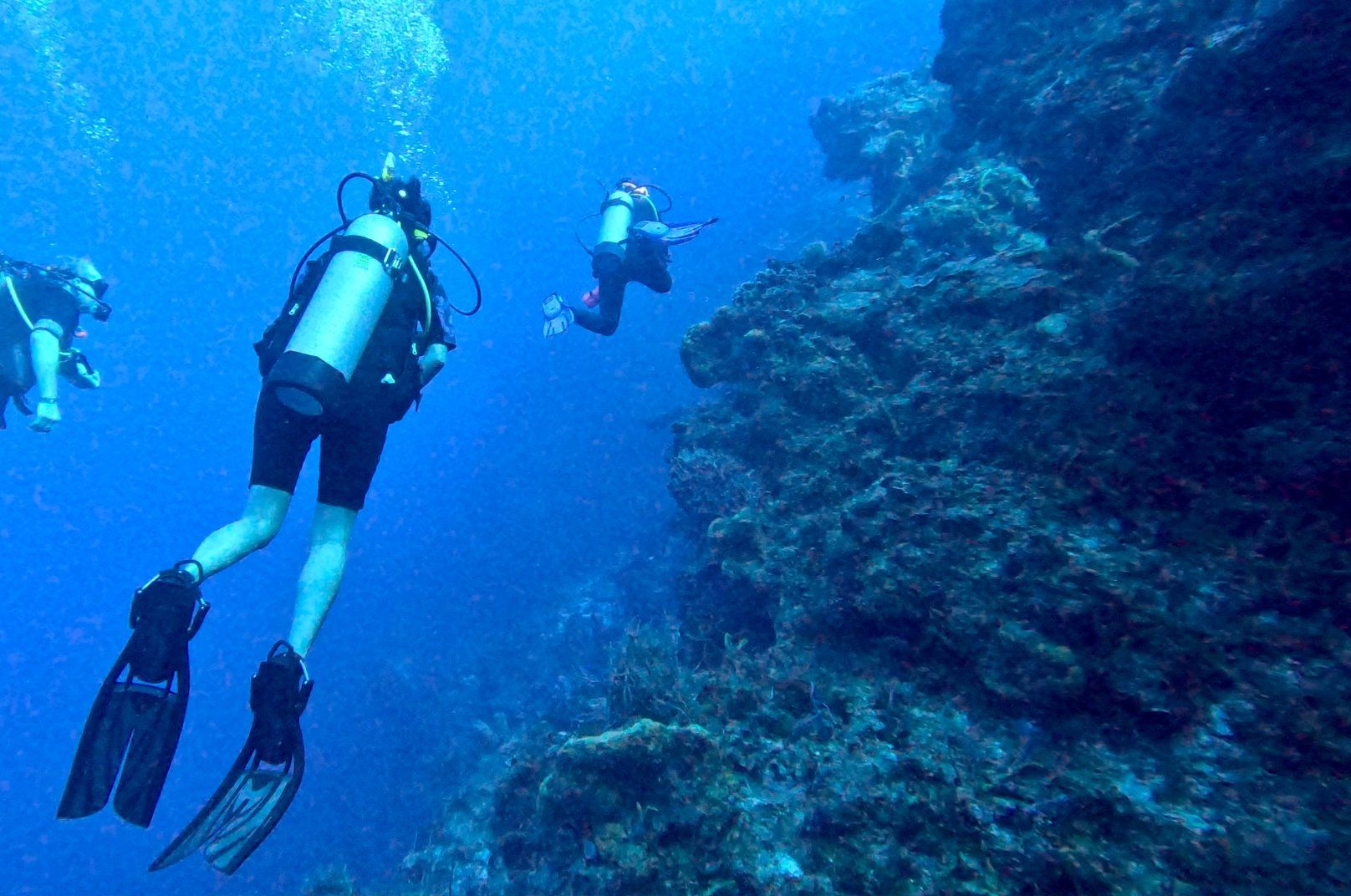 Best Places To Learn To Scuba Dive