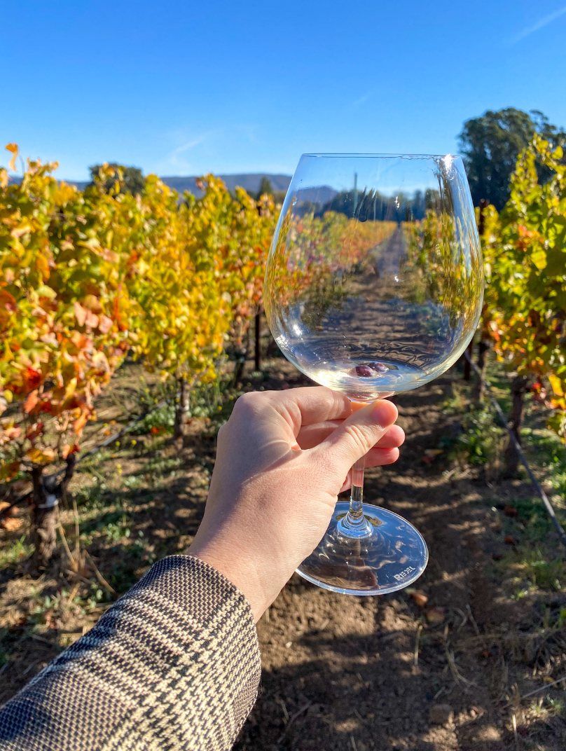 guided trip to Napa Valley