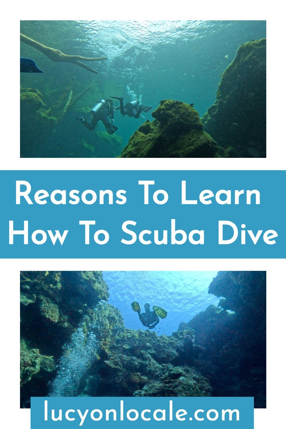 reasons to learn how to scuba dive