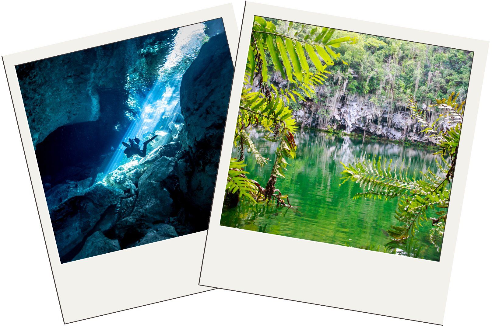 best cenotes in Riviera Maya