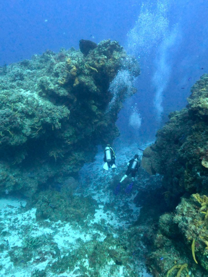 beginning scuba diving tips
