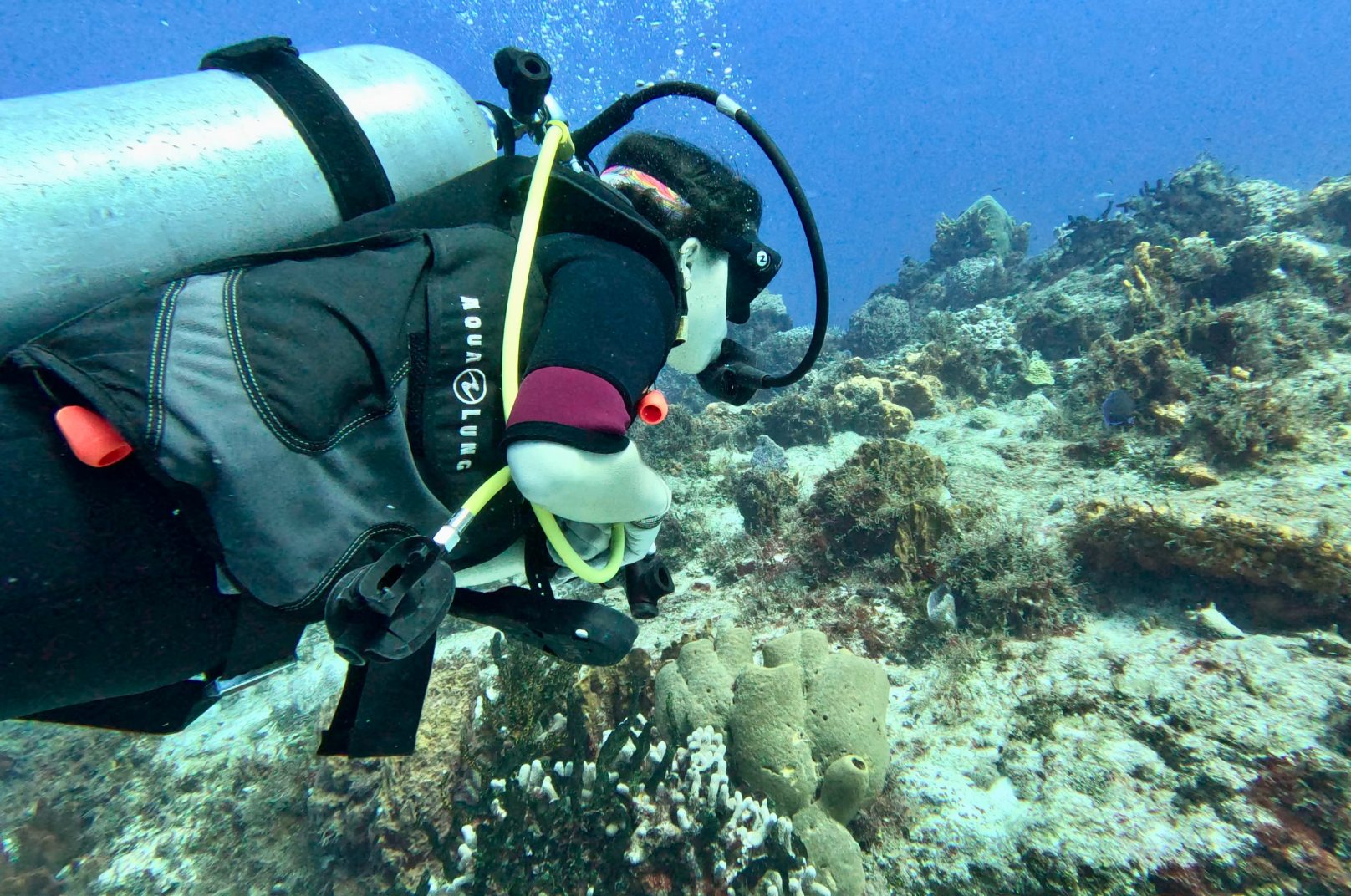 Playa del Carmen Itinerary