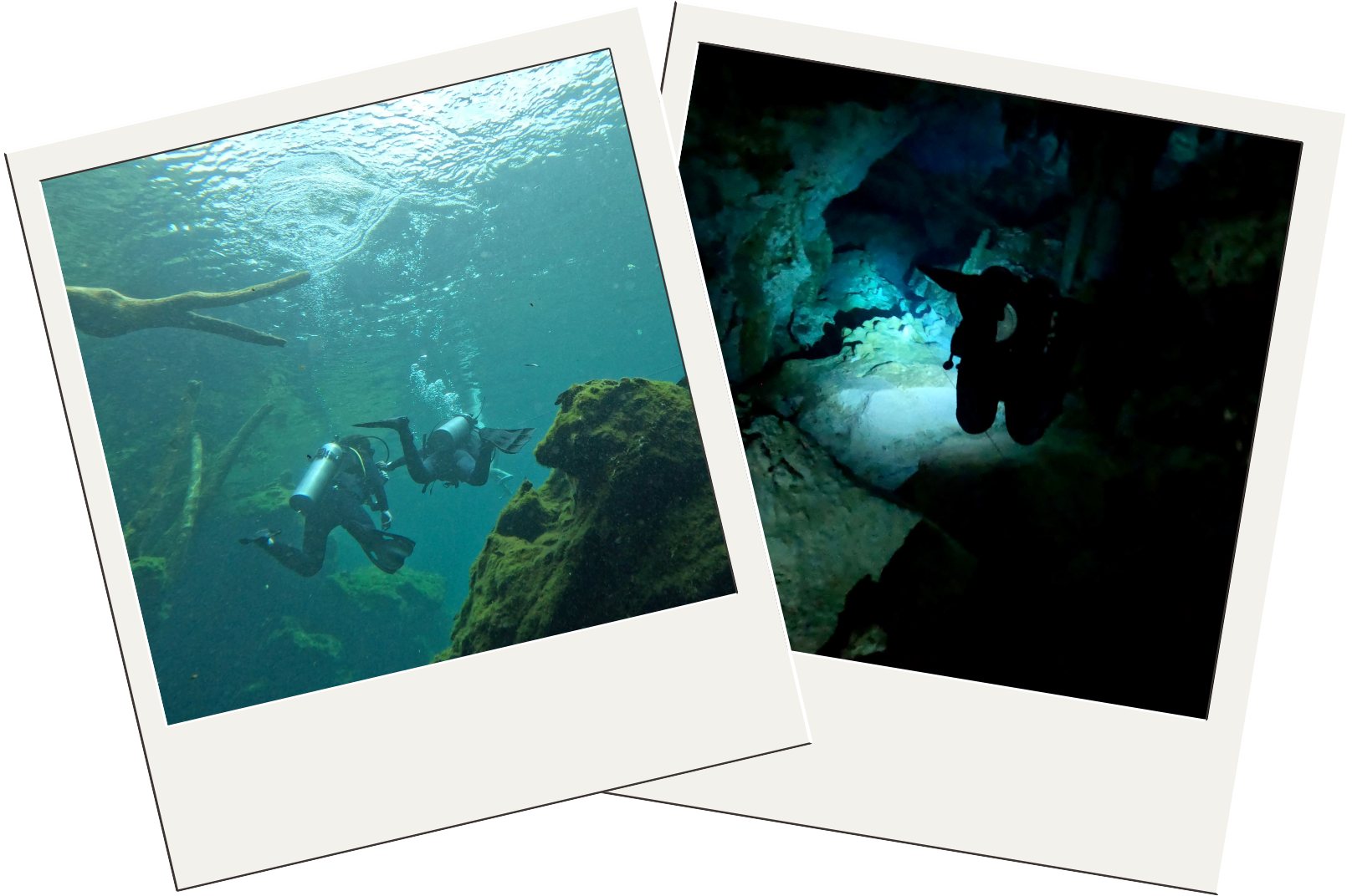 Playa del Carmen diving guide