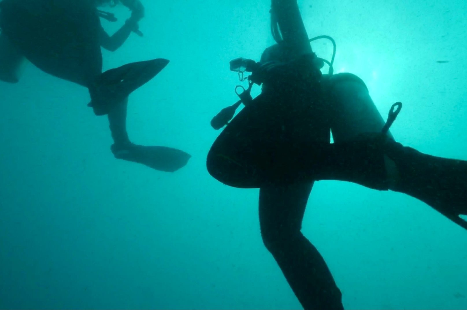 Playa del Carmen diving guide