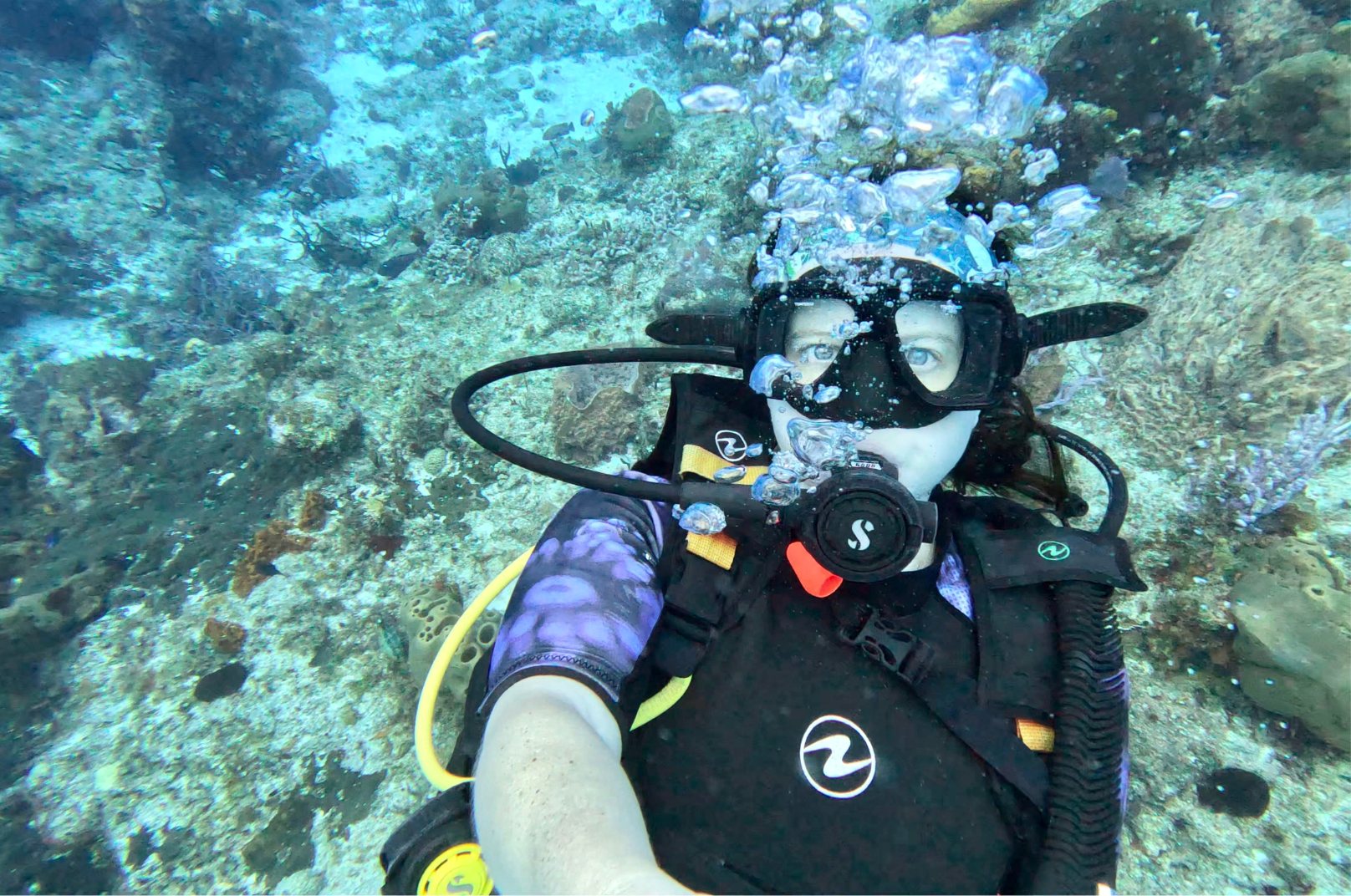 Playa del Carmen diving guide