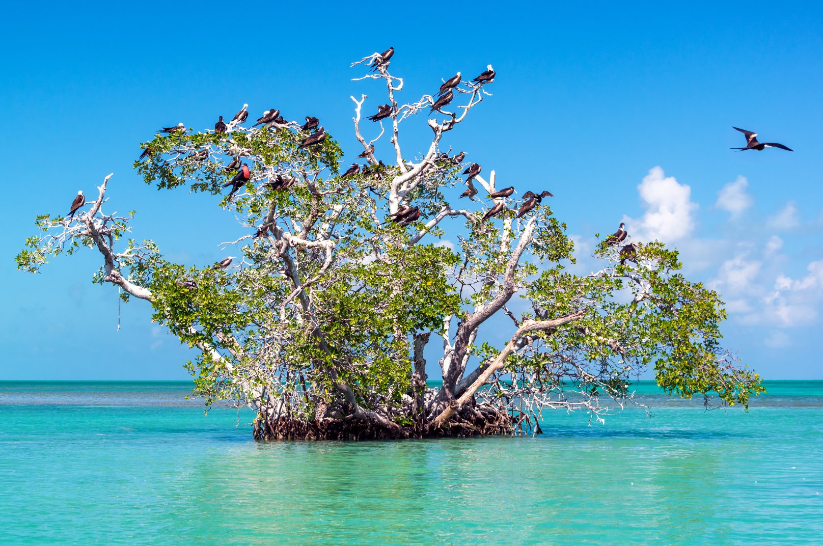 Playa del Carmen day trips