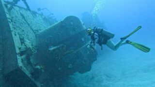 Top Diving Destinations for Macro Life in the Pacific and Indian Oceans:⁠
🐠The Philippines⁠
🐠Papua New Guinea⁠
🐠Solomon Islands⁠
🐠Malaysia⁠
🐠Fiji⁠
🐠Palau⁠
🐠Guam⁠
🐠Australia⁠
🐠South Africa⁠
🐠Japan